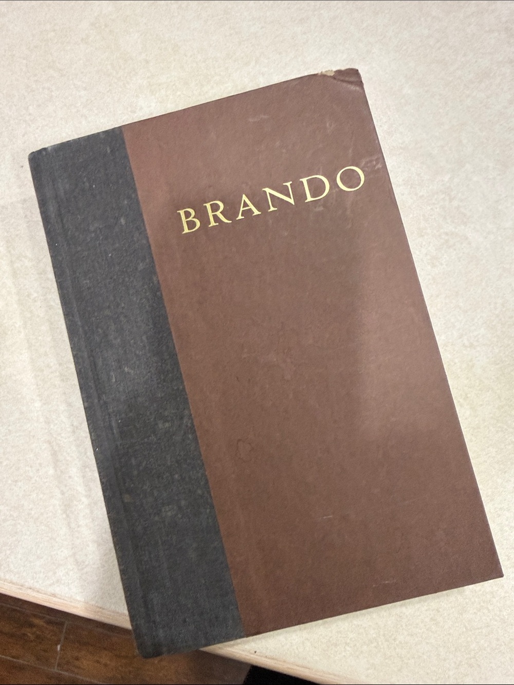 Brando songs, my mother taught me book